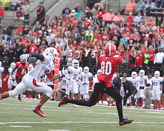 Youngstown State's Andrew Williams (80) catches a pass and then outruns Duquesne's Nick Floyd (24) during the first quarter of Saturday evenings matchup at Stambaugh Stadium.  Dustin Livesay  |  The Vindicator  9/6/14  Stambaugh Stadium