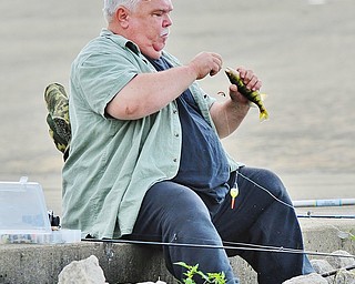 Jeff Lange | The Vindicator  Adam Richards of Youngstown removes a perch from his line after reeling it in from the Meander Reservoir, Saturday morning. Once a year the reservoir allows a number of fishers in for a day.