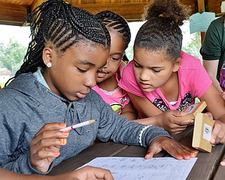 Jeff Lange | The Vindicator  A'Shawnti Price (left, 9 of McGuffey), Shi'Nece Honzy (back, 9 of McGuffey) and Trinity Brown (right, 9 of McGuffey) team together to determine water quality in their group activity Tuesday at Perkins Park in Warren.