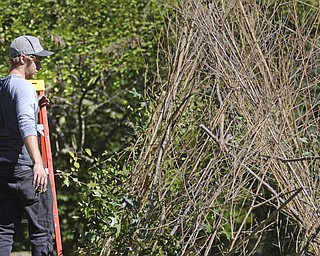 Katie Rickman | The Vindicator.Dan Newman of West Middlesex, Pennsylvania stands on a ladder and surveys his work on the art piece constructed by volunteers and workers at Fellows Riverside Garden Wednesday, Sept. 17, 2014.