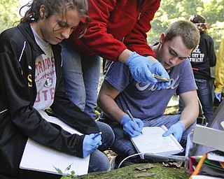        ROBERT K. YOSAY  | THE VINDICATOR..Savanah Serich Rachael Leonard  and Jacob Faulk- King  put results into a computer they will evaluate..later...-  Students in the AP environmental science class at Struthers High School will perform stream quality testing at Yellow Creek Park .. -30-
