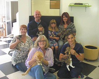 SPECIAL TO THE VINDICATOR: 
Showing off some of the rescued cats from Falcon Animal Rescue in Austintown are, from left to right on the bench, Matt Cunningham, Jillian Zidian and Jill Zidian. In the front row are Valerie Kessell, Debbie Marsh and Missy Weimer.