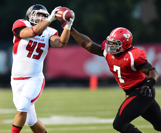 YOUNGSTOWN, OHIO - SEPTEMBER 20, 2014: Tight end Frank Failace #45 of Saint Francis cates a pass behind defensive linemen Desmond Williams #7 of YSU during the 1st half of Saturday nights game NCAA football at Stambaugh Stadium. (Photo by David Dermer/Youngstown Vindicator)