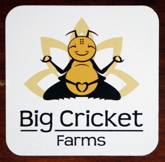        ROBERT K. YOSAY  | THE VINDICATOR..Big Cricket.. logo...-30-