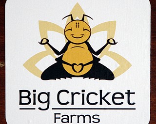        ROBERT K. YOSAY  | THE VINDICATOR..Big Cricket.. logo...-30-