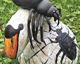 13. Annette McCarthy of Austintown decorated these gourds of spiders and a swan.
