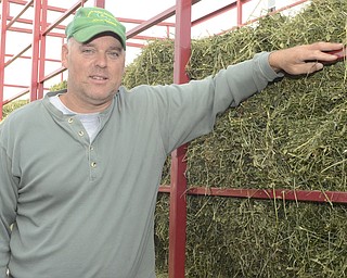 Katie Rickman | The Vindicator.Mark Stepuk stands next to a trailer loaded with hay bales on his farm in Canfield on Thursday , October 2, 2014. Stepuk  thinks that the new Racino will increase hay sales for local farmers.