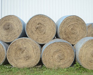 Katie Rickman | The Vindicator.While Stepuk Farm in Canfield doesn't focus on round bales (they sell mostly square), a few can be found on the farm in Canfield Oct. 2, 2014.