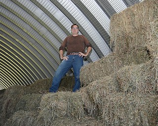 Katie Rickman | The Vindicator.Shane Conti, owner of Highpoint Farm in Leetonia, Ohio stands on bales of halfalfa hay in his barn on Thursday, Oct. 2, 2014.