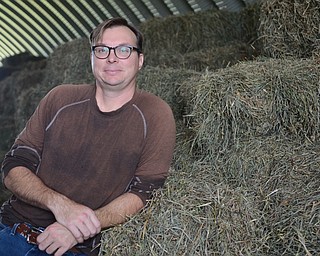Katie Rickman | The Vindicator.Shane Conti, owner of Highpoint Farm in Leetonia, Ohio leans on the halfalfa hay in his barn on Thursday, Oct. 2, 2014. He discusses the quality of hay and the impact that the new Racino may have on hay sales.
