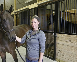        ROBERT K. YOSAY  | THE VINDICATOR..Casey Hillman Farm Mgr for Tim Hamm  President of Ohio Horsemens Benevolent Protective Association- Ellsworth Twp and some of his race horses...  horses name is Navigators Daughter and just got done racing at Presque Isle. .  .-30-