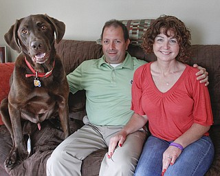        ROBERT K. YOSAY  | THE VINDICATOR..Missy Ginnetti poses with her husband Patrick and their pet Max in their Struthers home . Ginnetti will underwent  a stem-cell transplant for Hodgkins Lymphoma. and is now cancer free..-30-