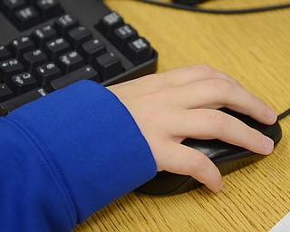 Katie Rickman | The Vindicator.A student uses a computer mouse while working on math problems in the library at the school on Monday, October 6, 2014.  Poland Elementary School students use computers to do math and language arts homework and tests.