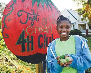 Bra’nia Underwood, a student at Taft Elementary School in Youngstown and a member of its 4-H club, poses in
the club’s garden, holding the last of the peppers and green tomatoes picked this week from the plot located
across from the school. The club, Taft Grows Green, is the city schools’ first 4-H group.
