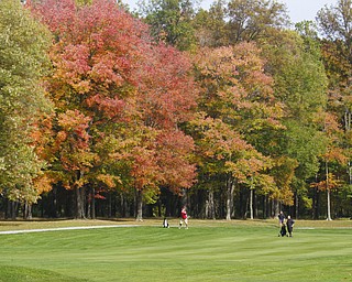        ROBERT K. YOSAY  | THE VINDICATOR..The leaves slowly changing from green to a bright yellow with a smattering of red .. as people  (red ) Bill Murphy  Marth Willmitch  on the right  and Jim Calcagni far right in the cart is  Steve Spencer and Jim Donlon as they hit up to the green ...-30-