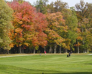        ROBERT K. YOSAY  | THE VINDICATOR..The leaves slowly changing from green to a bright yellow with a smattering of red .. as people  (red ) Bill Murphy  Marth Willmitch  on the right  and Jim Calcagni far right in the cart is  Steve Spencer and Jim Donlon as they hit up to the green ...-30-