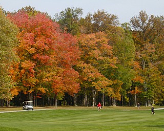        ROBERT K. YOSAY  | THE VINDICATOR..The leaves slowly changing from green to a bright yellow with a smattering of red .. as people  (red ) Bill Murphy  Marth Willmitch  on the right  and Jim Calcagni far right in the cart is  Steve Spencer and Jim Donlon as they hit up to the green ...-30-