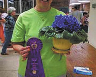 SPECIAL TO THE VINDICATOR
Lordstown Garden Guild recently hosted a flower show during the Lordstown Apple Cider Festival. Those selected as Best in Show by Diane Mullins, judge, are, above, Jo Ellen Chaney, public entry, horticulture class 6, house plants for bloom, violet; and below are Charlotte Ash, artistic class I (a) spring, pastels featured; and Joyce Leamer, horticulture class 9, succulents, cactus, crown of thorns. Ash also crocheted and donated an afghan that was raffled, and its winner was Debra Gabriel. For information about the guild call Mary Liming, membership chairman, at 330-652-9092.