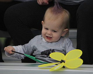 Colton Hallden (18 months) of Youngstown plays with one of the flower shaped pin-wheels during the Walk to End Alzheimers at the Watson and Tressel Training Site on Saturday morning.   Dustin Livesay  |  The Vindicator  10/11/14  WATTS, YSU