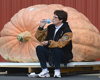 Jeff Lange | The Vindicator  Gerry Checkon of Johnstown PA sits down for a lunch break by her pumpkin, Saturday afternoon at Parks Garden Center during the 20th annual Giant Pumpkin Weigh-Off.