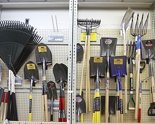        ROBERT K. YOSAY  | THE VINDICATOR..Campbell Hardware...  2o years on McCartney Drive ...-30-