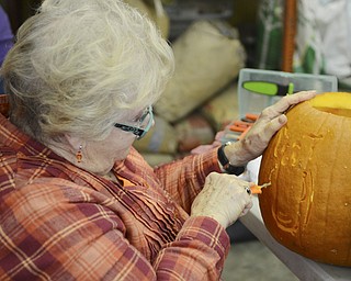 Katie Rickman | The Vindicator.Karen Anderson of Boardman carves pumpkins at Fellows Riverside Gardens for the 6th year in a row on Thursday, Oct. 16, 2014. She plans spend two days at the gardens carving pumpkins with other volunteers.