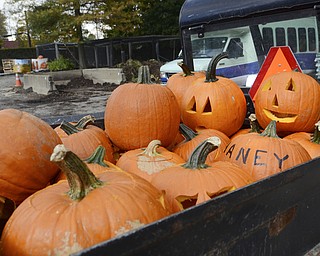 Katie Rickman | The Vindicator.Pumpkins are loaded in the back of an ATV at Fellows Riverside Gardon on Thursday, Oct. 16, 2014. Approximately 15,000 lbs of pumpkins were purchased to be carved for the annual Pumpkin Walk that will take place at the gardens on Sunday, Oct. 19, 2014.