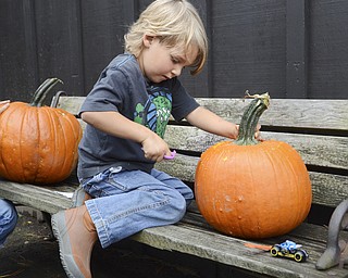 Katie Rickman | The Vindicator.Silas Miller, 4, of Enon Valley, Pennsylvania  cdiligently tries out carving on his own for the first time at Fellows Riverside Gardens on Thursday, Oct.16, 2014.