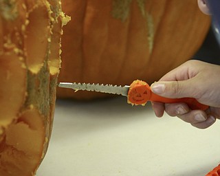 Katie Rickman | The Vindicator.Many volunteers carved pumpkins at Fellows Riverside Garden over a three day period (Oct. 16-18) to be on display at the annual Pumpkin Walk on Sunday, Oct. 19, 2014.