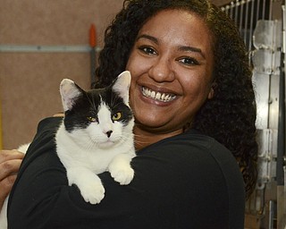 Katie Rickman | The Vindicator.Shalyse Bolash, executive director Animal Charity of Ohio Inc. holds a female cat named Rory who is 9 months old and is up for adoption at the facility on Friday, Oct. 17, 2014.