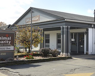 Katie Rickman | The Vindicator.Animal Charity of Ohio Inc. at 4140 Market Street in Boardman on Friday, Oct. 17, 2014.