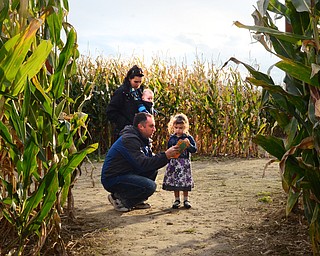 Katie Rickman | The Vindicator.Dan Leonard of Washington, Pennsylvania leans down and shows his daughter Livi, 4, the map to the “Blue” path of the maize as his wife Becky holds their son Sean, 4 months, before master the 0.4 mile trail at the Maze Craze on Friday, September 17, 2014. The Blue trail is one four trails that covers 20 acres of land.