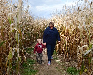 Katie Rickman | The Vindicator.Sherry Seachrist walks with her grandson Trevor, 2, through a trail on one of the paths inside the 20 acre maize at the Maze Craze on Friday, September 17, 2014.
