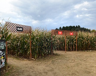 Katie Rickman | The Vindicator.Three of the four entrances to the maize at the Maze Craze are well worn and winding on Friday, September 17, 2014.
