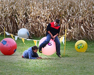 Katie Rickman | The Vindicator.Tyler Meyers, 8, on left falls of a bouncy ball as he and his friend Dylan Turvey, 8 (both from Columbiana) beside the maize at the Maze Craze in New Springfield on Friday, September 17, 2014.