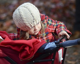 Katie Rickman | The Vindicator.Cate Hites, 4, of Pittsburgh, Pennsylvania is ready for the elements with a blanket, winter coat and knit hat at Christmas in the Woods in Columbiana on Saturday, Oct. 18, 2014.