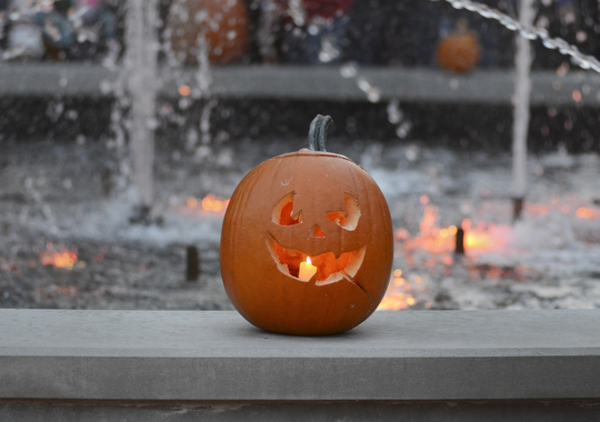 Katie Rickman | The Vindicator.A jack-o'-lantern sits in front of the fountain at Fellows Riverside Gardens during the Pumpkin Walk on Sunday, Oct. 19, 2014.