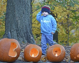 Katie Rickman | The Vindicator.Luca Maffei, 3, of Lordstown stands behind the carved pumpkins spelling "Boo!" at The Pumpkin Walk at Fellows Riverside Gardens on Sunday, Oct. 19, 2014. Maffei attended the even with his family who has made The Pumpkin Walk a yearly tradition.