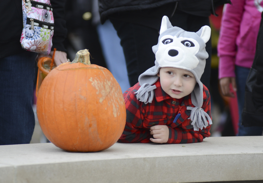 Katie Rickman | The Vindicator.Aiden Bell, 5, of Struthers leans on the wall around the fountain next to a carved pumpkin at Fellows Riverside Gardens during the Pumpkin Walk on Sunday, Oct. 19, 2014.