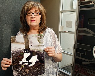 Judy Levy with Sammy the cat will have been missing for exactly one year this coming Wednesday.