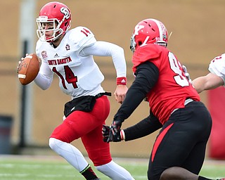 YOUNGSTOWN, OHIO - NOVEMBER 1, 2014: Kevin Earl #14 of south Dakota scrambles with the football to avoid pressure from Emmanuel Kromah #93 of YSU during the 1st half of Saturday afternoon NCAA football game at Stambaugh Stadium. YSU won 28-17. (Photo by David Dermer/Youngstown Vindicator)