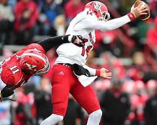 YOUNGSTOWN, OHIO - NOVEMBER 1, 2014: Kevin Earl #14 of South Dakota is sacked by Derek Rivers #11 of YSU during the 1st half of Saturday afternoon NCAA football game at Stambaugh Stadium. YSU won 28-17. (Photo by David Dermer/Youngstown Vindicator)