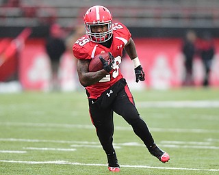 YOUNGSTOWN, OHIO - NOVEMBER 1, 2014: Martin Ruiz #29 of YSU runs the football during the 2nd half of Saturday afternoon NCAA football game at Stambaugh Stadium. YSU won 28-17. (Photo by David Dermer/Youngstown Vindicator)