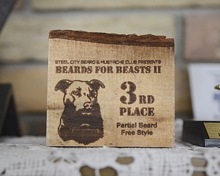 Katie Rickman | The Vindicator.One of the trophies that Anthony Fontes won in a beard contest sits on his mantel in his Campbell on Thursday, Oct. 31, 2014.