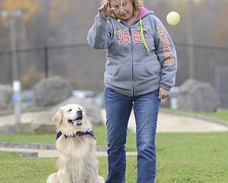 Katie Rickman | The Vindicator.Terry Taylor of Howland plays with her dog Tia at the Bark Park at Trumbull County Animal Welfare League in Vienna on Friday, Oct. 31, 2014.  Taylor is one of the members at the dog park where she can bring her dog to play 7 days a week, the parks are open from dusk to dawn.