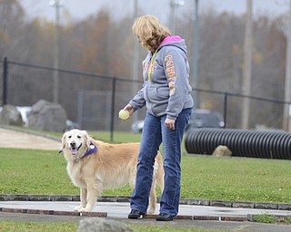 Katie Rickman | The Vindicator.Terry Taylor of Howland plays with her dog Tia at the Bark Park at Trumbull County Animal Welfare League in Vienna on Friday, Oct. 31, 2014.  Taylor is one of the members at the dog park where she can bring her dog to play 7 days a week, the parks are open from dusk to dawn.