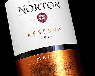 2011 Norton Malbec Reserva (Argentina) $14