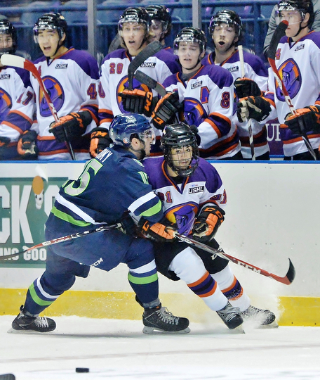 Jeff Lange | The Vindicator  Youngstown's Matt Alvaro (91) is shoved to the wall by Bloomington's Ryan Siroky (15) as the rest of the Phantoms cheer from the players' box, Wednesday morning during first period action at the Covelli.