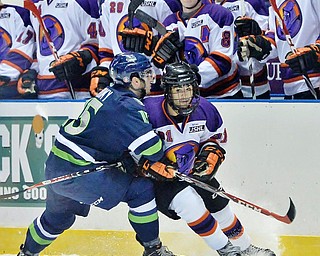 Jeff Lange | The Vindicator  Youngstown's Matt Alvaro (91) is shoved to the wall by Bloomington's Ryan Siroky (15) as the rest of the Phantoms cheer from the players' box, Wednesday morning during first period action at the Covelli.
