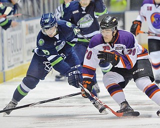 Jeff Lange | The Vindicator  Phantoms' Ryan Lomberg (70) reaches out for the puck past Bloomington's Ryan Siroky (15) during second period play in Youngstown, Wednesday morning.